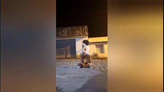 Gay cagando na rua porn